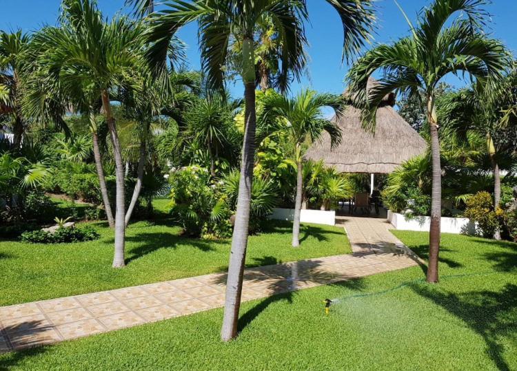 Large House - Walking To Beach - 10 Guests! Cancún Eksteriør billede